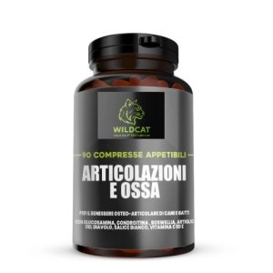 ARTICOLAZIONI E OSSA 90 COMPRESSE