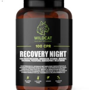 RECOVERY NIGHT